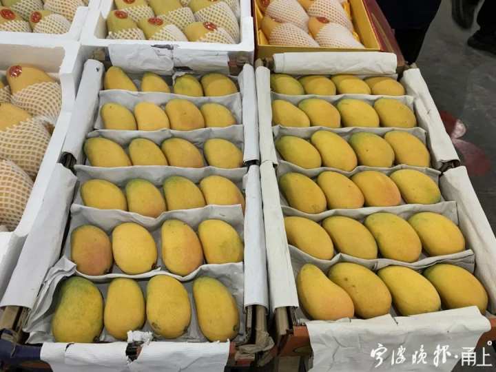 热带水果市场大热 芒果批发商机无限